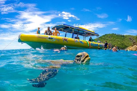 Whitsundays: Ozean-Rafting-Tour mit Schnorcheln & Rundflug