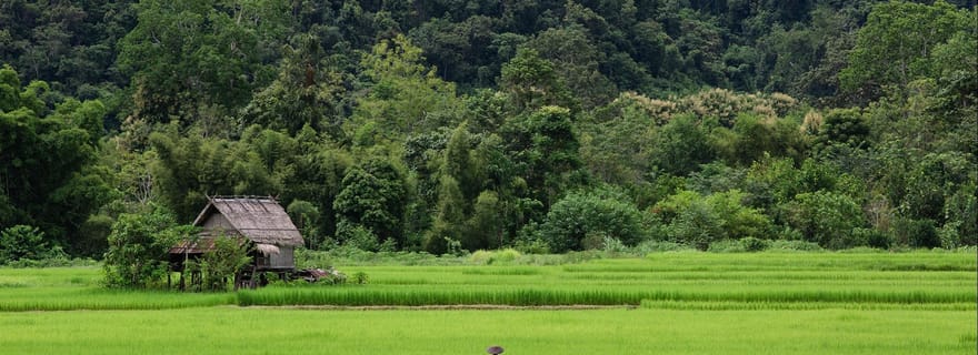 Luang Prabang : une journée hors des sentiers battus