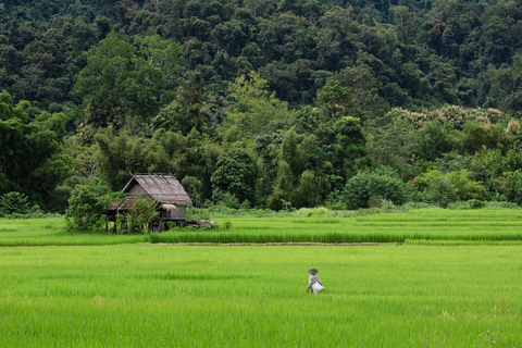 Luang Prabang Przedmieścia: jednodniowa wycieczka rowerem górskimPrywatna wycieczka