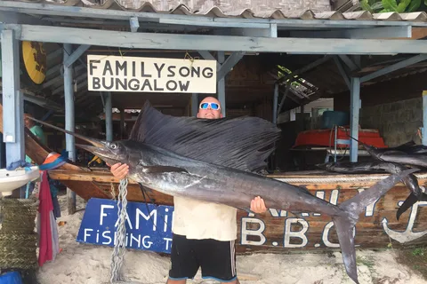 Sailfish fishing half day.