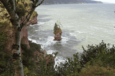 Saint John: Bay of Fundy & Hopewell Rocks Small-Group Tour
