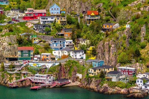 St John's: Small Group Guided Tour by Car