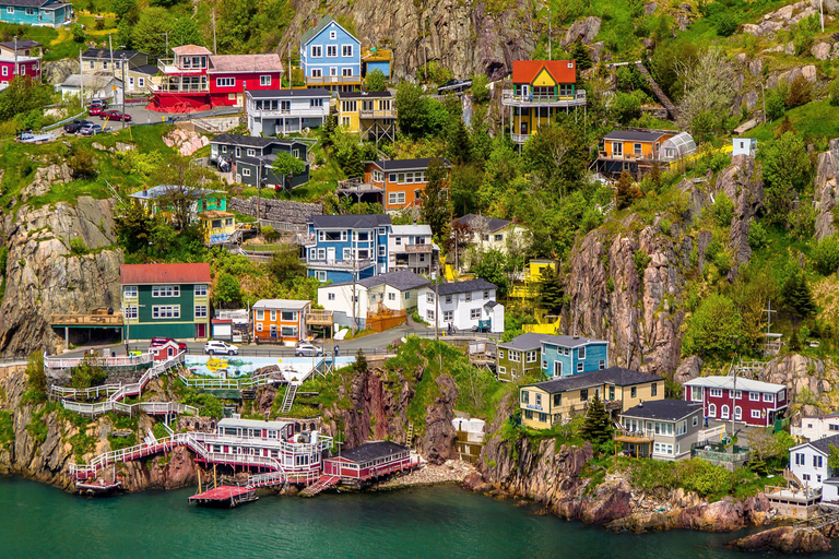 St John&#039;s : Visite guidée en petit groupe en voiture