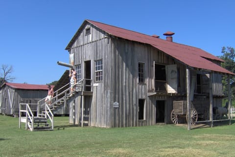 Frogmore Plantation: Historical Cotton and Plantation Tour