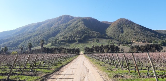 Visit Private Full-Day Wine Tasting Tour in Colchagua Valley in San Gabriel, Chile