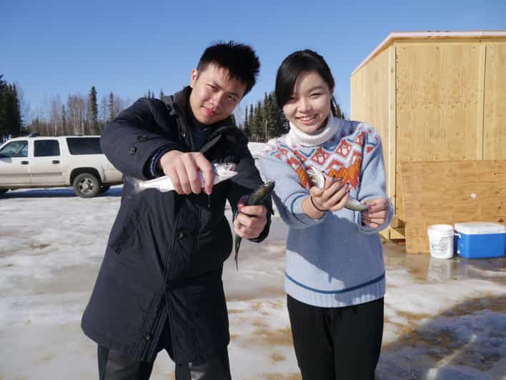 Fairbanks Aurora Ice Fishing Tour GetYourGuide