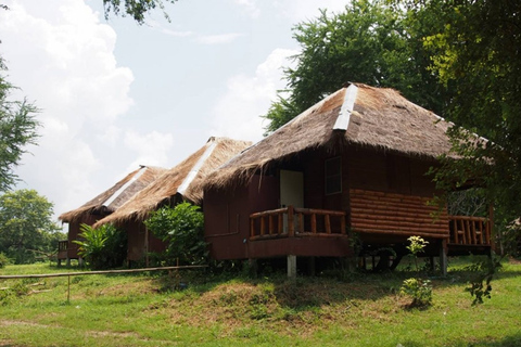 Desde Bangkok: experiencia de 2 días de ElephantsWorld Kanchanaburi