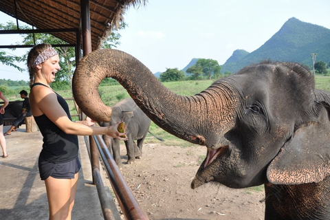 Från Bangkok: ElephantsWorld Kanchanaburi 2-dagars upplevelse