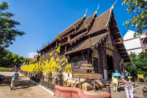 Chiang Mai: visite espagnole guidée des anciens templesVisite privée