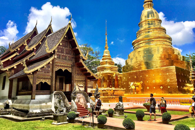 Chiang Mai: visite espagnole guidée des anciens templesVisite privée