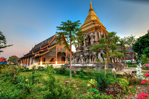 Chiang Mai: visite espagnole guidée des anciens templesVisite privée