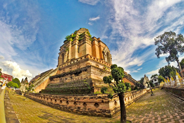 Chiang Mai: Spanska guidade turer i de gamla templenPrivat tur