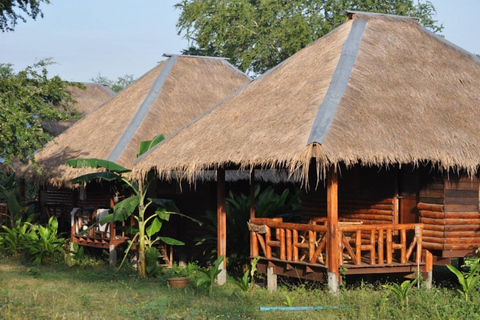 Desde Bangkok: experiencia de 2 días de ElephantsWorld Kanchanaburi