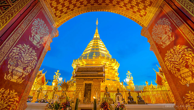 Chiang Mai: Doi Suthep, Wat Pha Lat & Wat Umong Spanish Tour