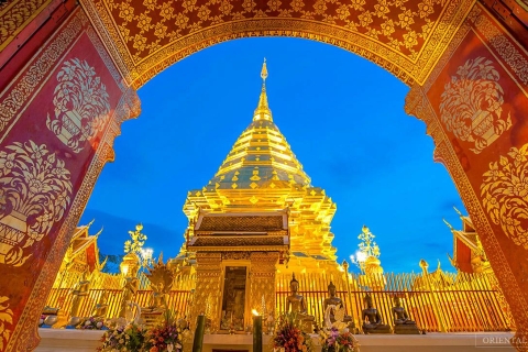 Chiang Man: Doi Suthep, Wat Pha Lat y Wat Umong Spanish TourTour privado