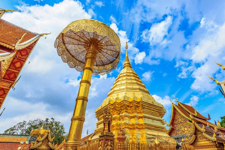Chiang Man: Doi Suthep, Wat Pha Lat y Wat Umong Spanish TourTour privado
