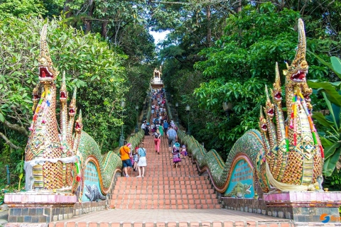 Chiang Man: Doi Suthep, Wat Pha Lat i Wat Umong Spanish TourPrywatna wycieczka