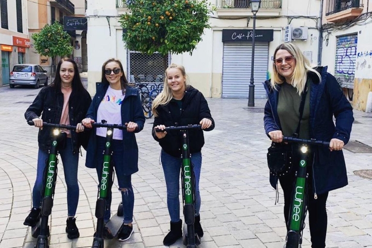 Mallorca: Premium E-Scooter Rental with Delivery Option Standard Option