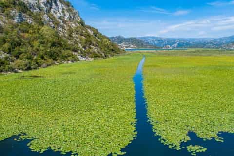 Skadar Lake: Half-day Cruise Tour - the River of Crnojević