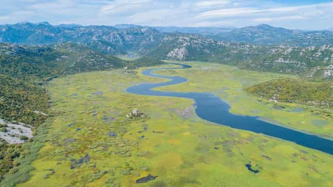 lago skadar tour di crociera di mezza giornata il fiume di crnojević
