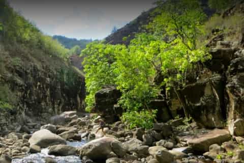 Kauai: Private Customizable Hike and Tour