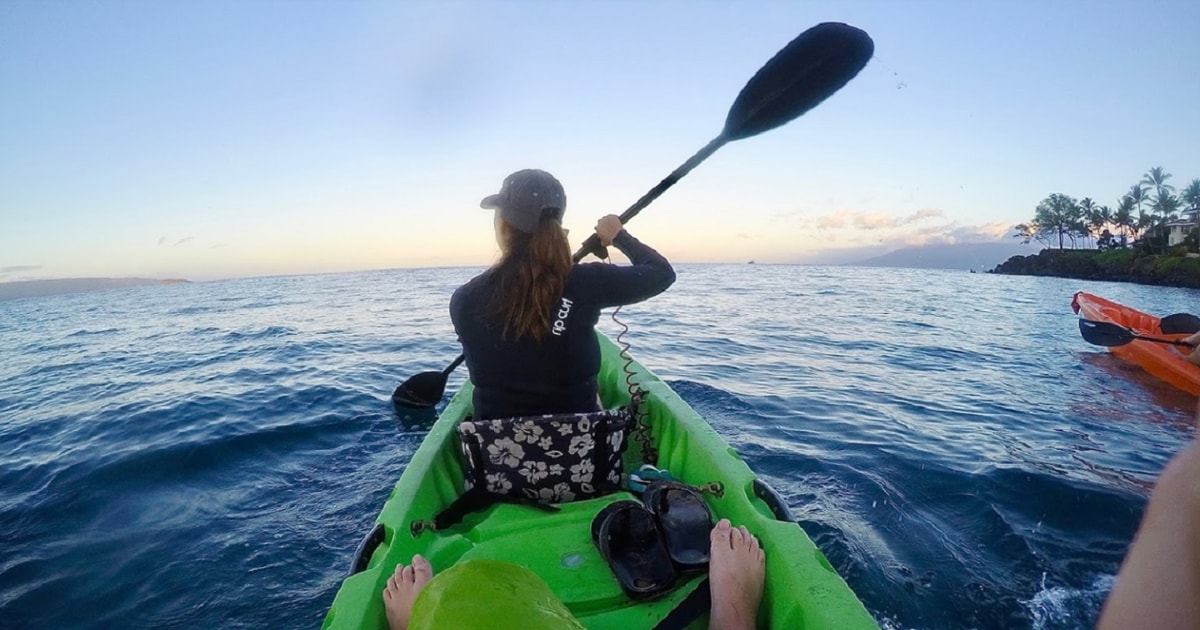 Hilo Hilo Bay and Coconut Island Guided Kayak Adventure GetYourGuide