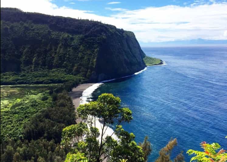 Hilo Hilo Bay and Coconut Island Guided Kayak Adventure GetYourGuide
