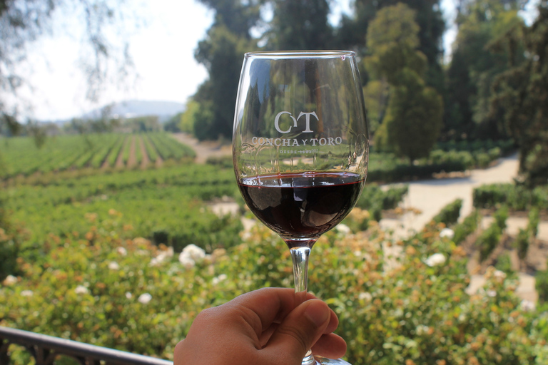 Santiago: Official Transfer to Concha y Toro Winery Transfer from Parque Arauco Meeting Point