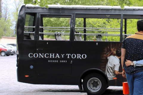 Santiago: Transfer to Concha y Toro Winery