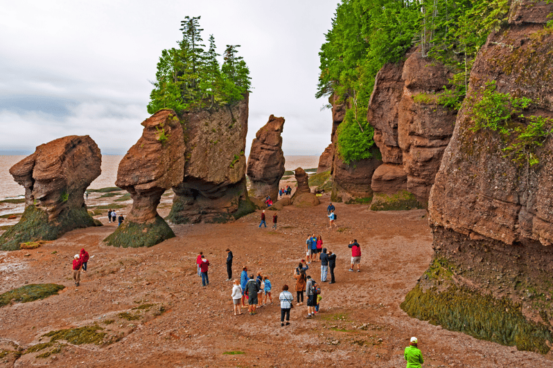 Le Meilleur De Hopewell Rocks Et Du Parc National Fundy à Partir De ...