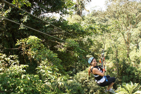 Excursión en tirolina por el Parque Nacional Braulio Carrillo desde San JoséExcursión en tirolina en el Parque Nacional Braulio Carrillo desde San José