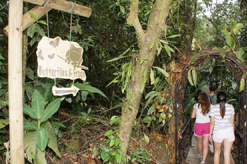 Zipline Tour in Braulio Carrillo National Park From San José