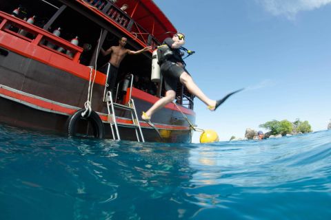 Koh Chang: 1-Day Diving Trip