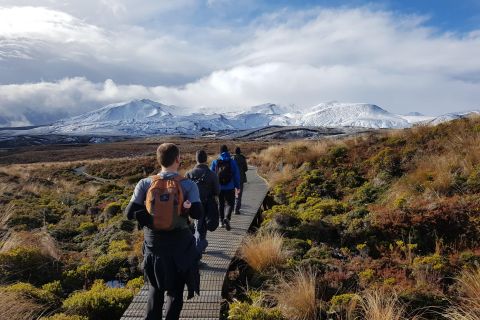 Tongariro: Volcanic Explorer Halbtägiger geführter Spaziergang