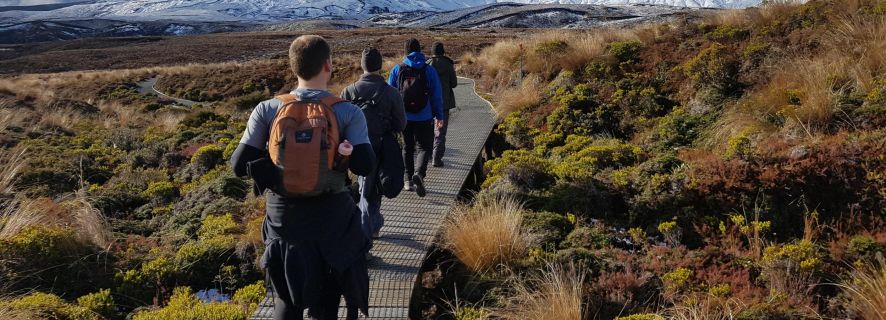 Tongariro: Volcanic Explorer Half-Day Guided Walk