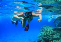 Sharm El Sheikh, Voyage en bateau à moteur privé à l'île de Tiran - Hizvo