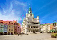 From Warsaw, Poznan Small Group Day Trip with Lunch - Housity