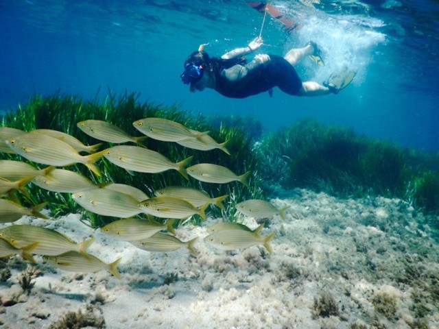 Visit Almeria: Cabo de Gata-Níjar Natural Park Snorkeling & Photos in Phuket, Thailand