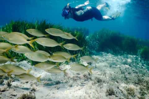 cabo de gataníjar natural park snorkeling