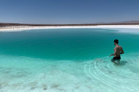 San Pedro Atacama: Baltinache Lagoons och Magic BussturGruppresa på eftermiddagen till Baltinaches dolda laguner