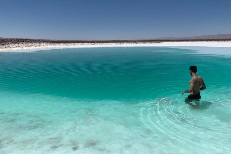 San Pedro Atacama: Baltinache Lagoons och Magic BussturGruppresa på eftermiddagen till Baltinaches dolda laguner