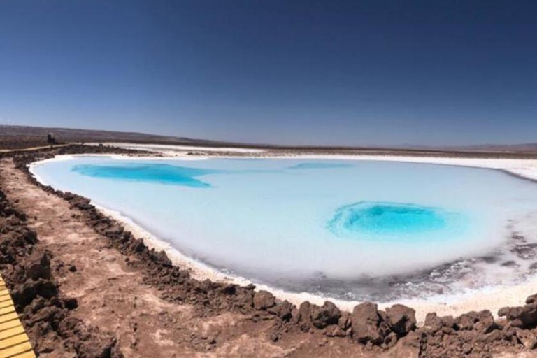 San Pedro Atacama: Baltinache Lagoons och Magic BussturGruppresa på eftermiddagen till Baltinaches dolda laguner