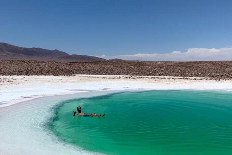 San Pedro Atacama: Baltinache Lagoons och Magic BussturGruppresa på eftermiddagen till Baltinaches dolda laguner