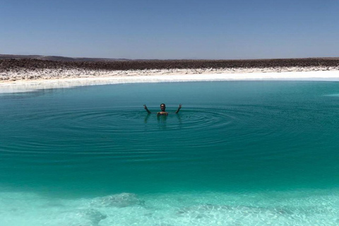 San Pedro Atacama: Baltinache Lagoons och Magic BussturGruppresa på eftermiddagen till Baltinaches dolda laguner