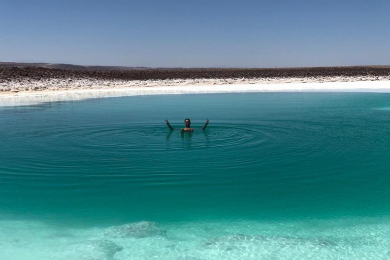 San Pedro Atacama: Baltinache Lagoons och Magic BussturGruppresa på eftermiddagen till Baltinaches dolda laguner