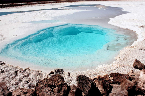 San Pedro Atacama: Baltinache Lagoons och Magic BussturGruppresa på eftermiddagen till Baltinaches dolda laguner