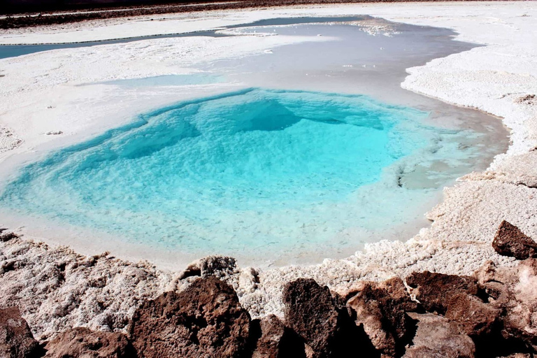 San Pedro Atacama: Baltinache Lagoons och Magic BussturGruppresa på eftermiddagen till Baltinaches dolda laguner