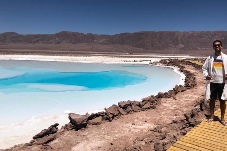 San Pedro Atacama: Baltinache Lagoons och Magic BussturGruppresa på eftermiddagen till Baltinaches dolda laguner