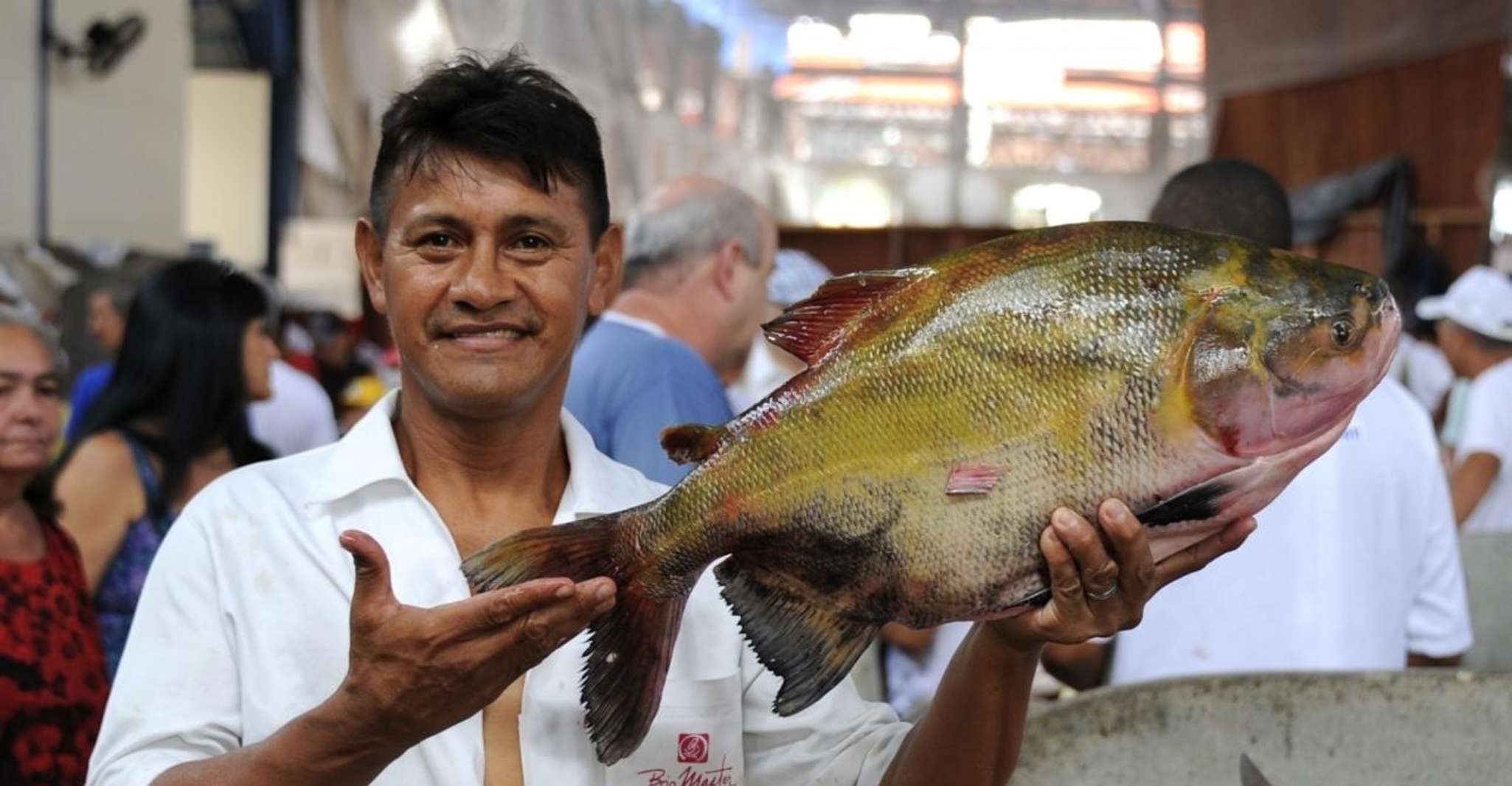 Belém: 4 Hours City Tour with Ver-o-Peso Market Visit