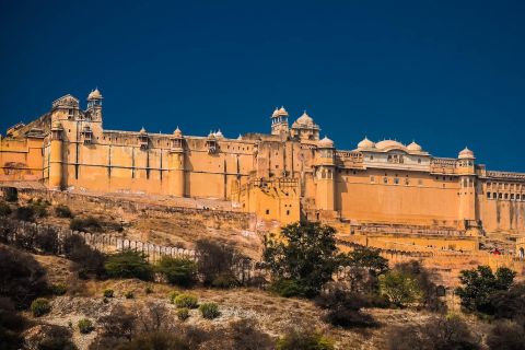 Jaipur: Amer Fort Fast-Track Entry & Optional Guide/Transfer